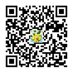 wechatpay